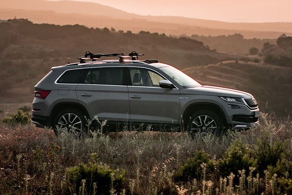 Skoda auf Goodyear-Reifen