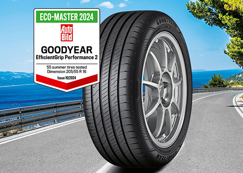 Goodyear EfficientGrip Performance 2