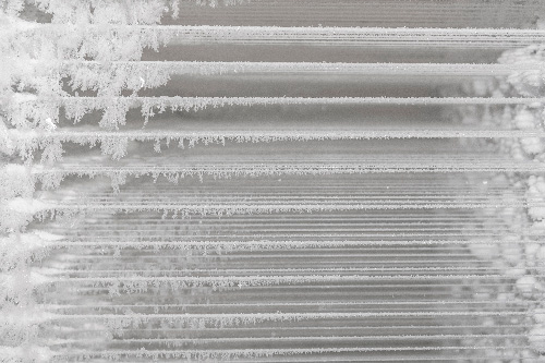 Production of natural snow