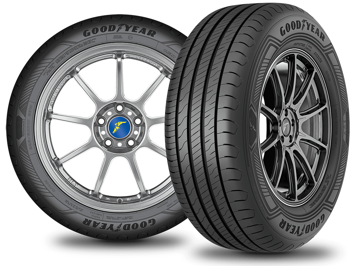 EfficientGrip Performance 2 Tyre Shot with Technologies