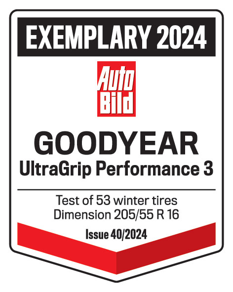 Auto Bild – Zgledna 2024